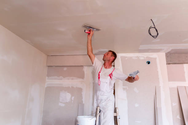 Best Drywall Installation  in Highland Heights, KY